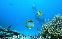 This photo taken with a Sony W30 in a sport case at a dep... by Russ Van Aardt 